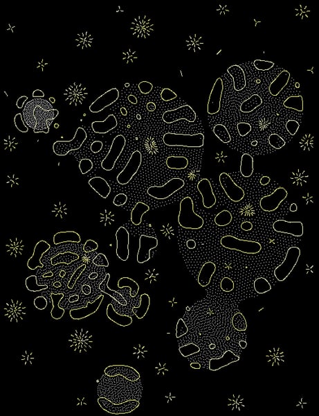 Screen Shot 2022-12-04 at 10.14.37 AM.png